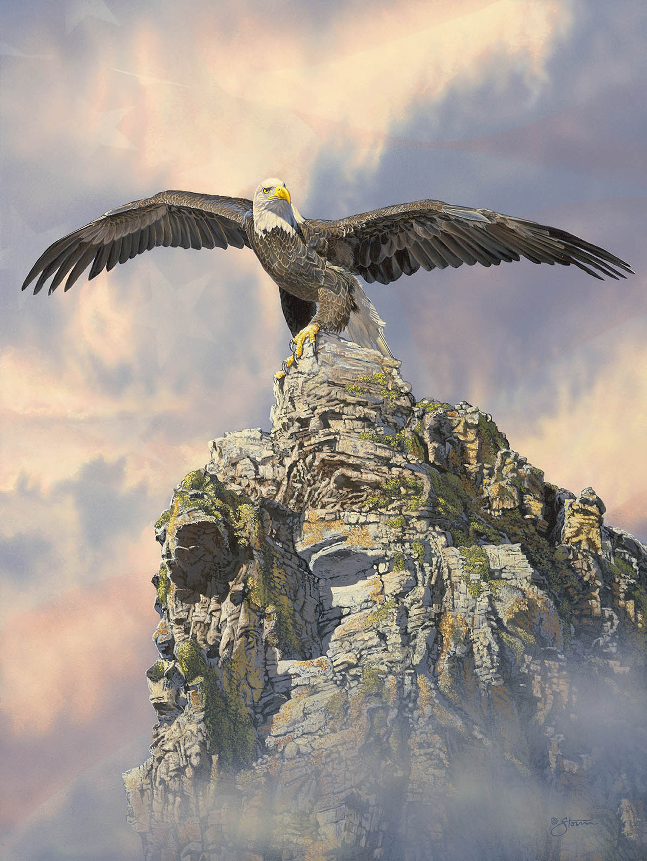 Freedom Wings by Scot Storm