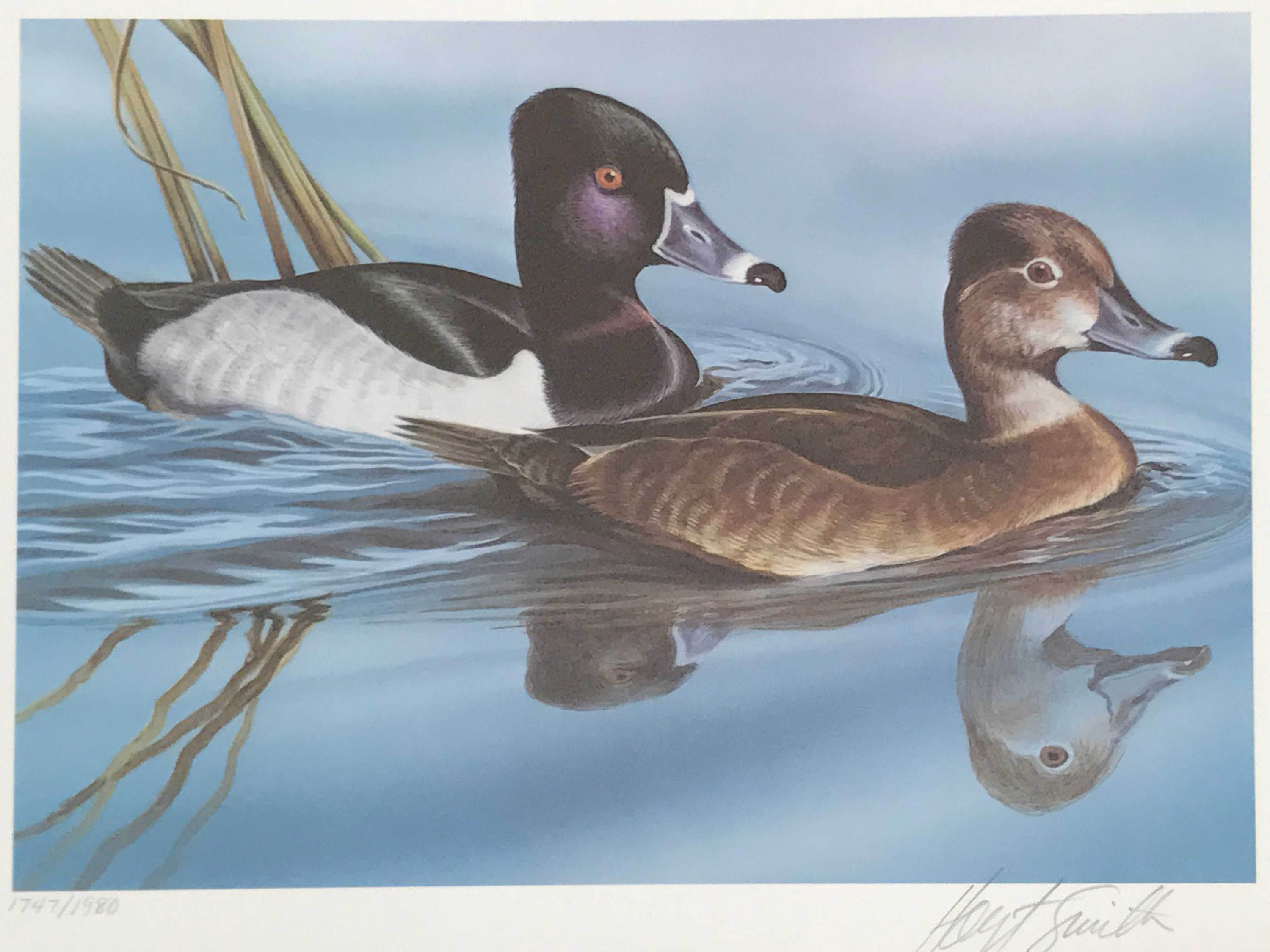 1984 Oklahoma Duck Stamp