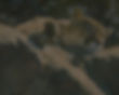 114253-0_edited.jpg