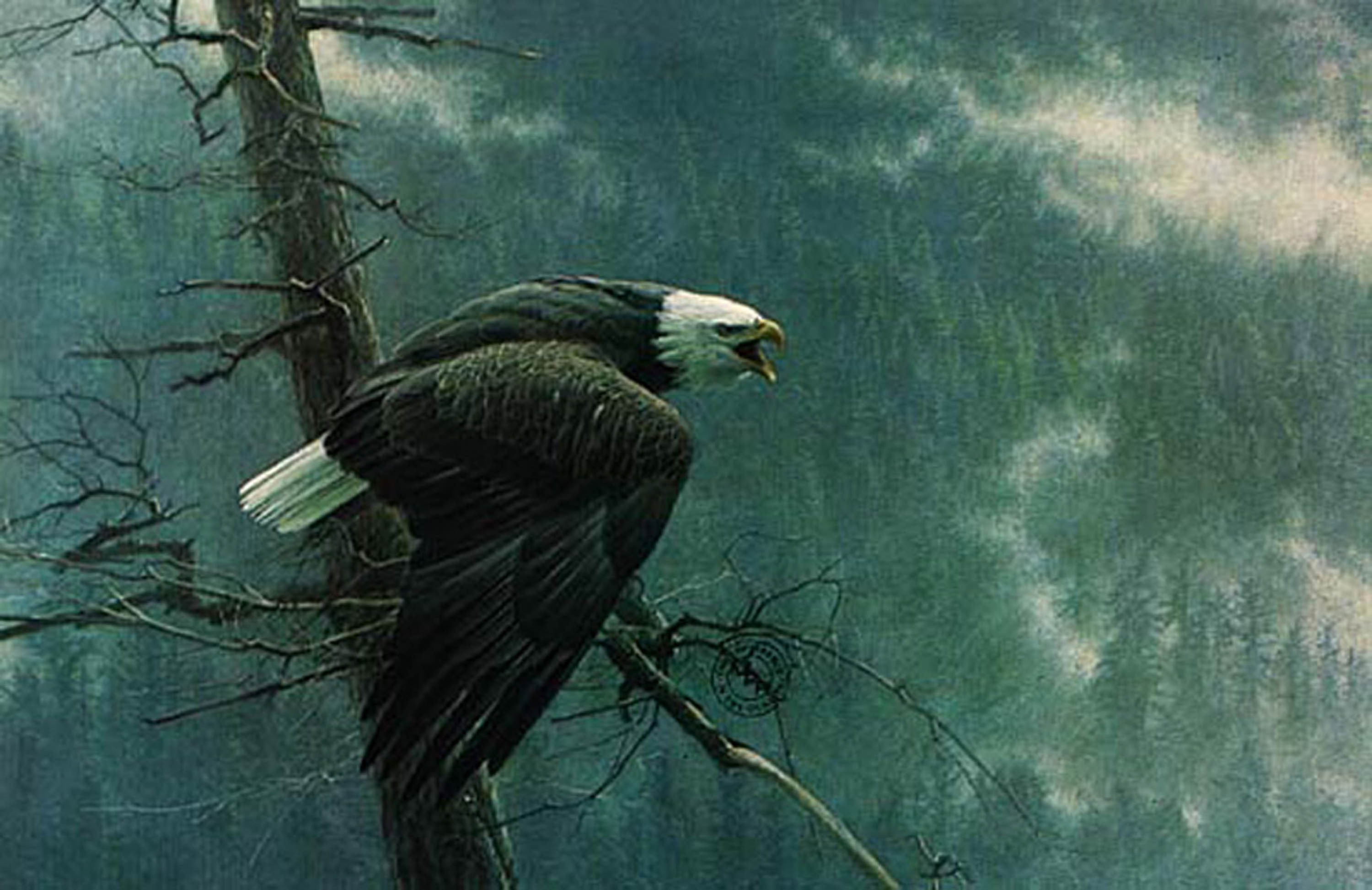 The Air, the Forest, and the Watch