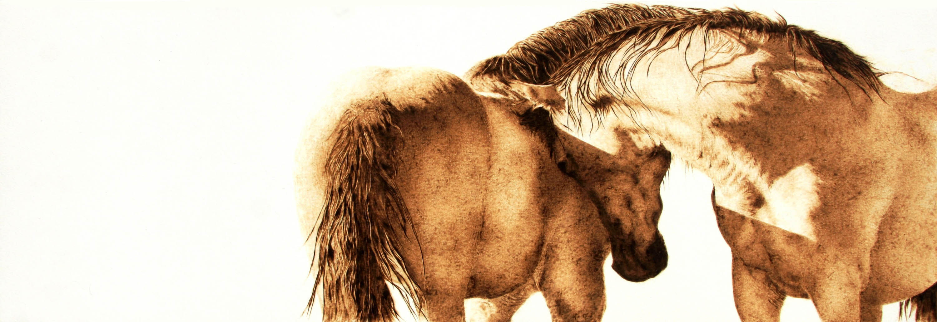 90 Degrees in the Shade