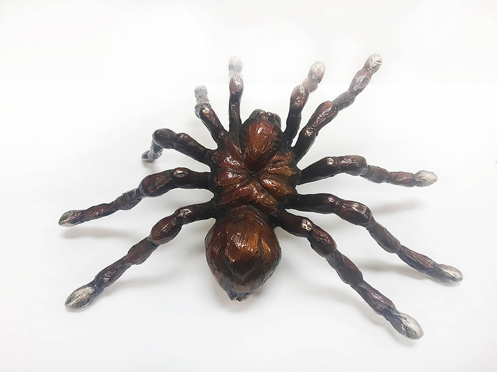 Thumbnail: Tarantula 3