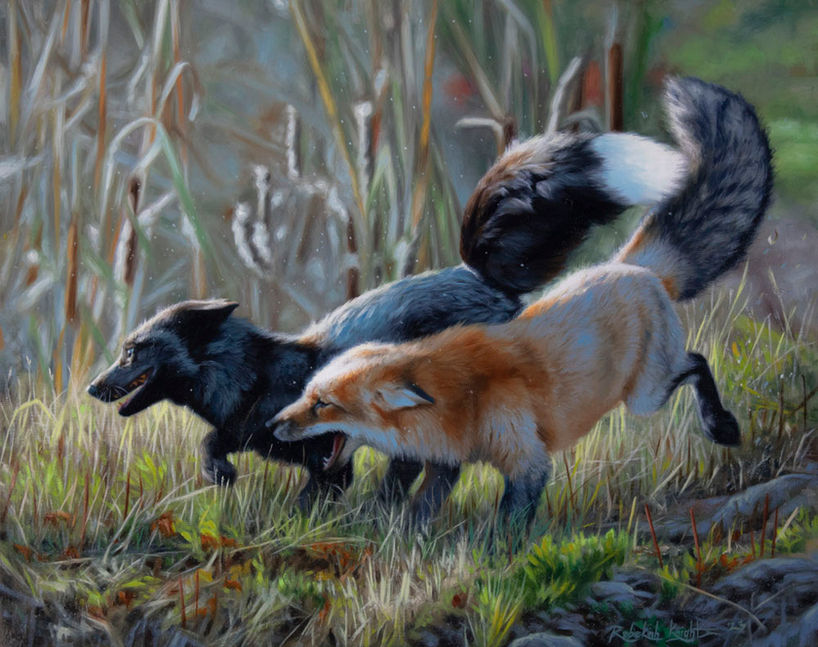 Fire and Smoke by Rebekah Knight