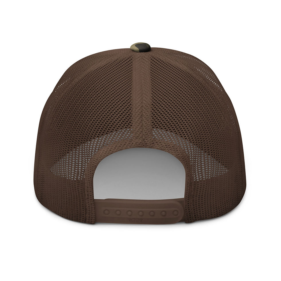 Thumbnail: BS Awake Hat