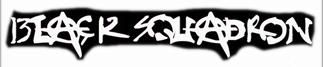 BS Lower Logo_edited_edited_edited.png
