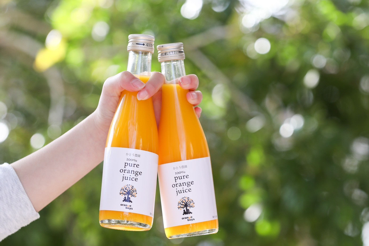 【かとう農園】100% ピュアみかんジュース (300ml✕1本)
