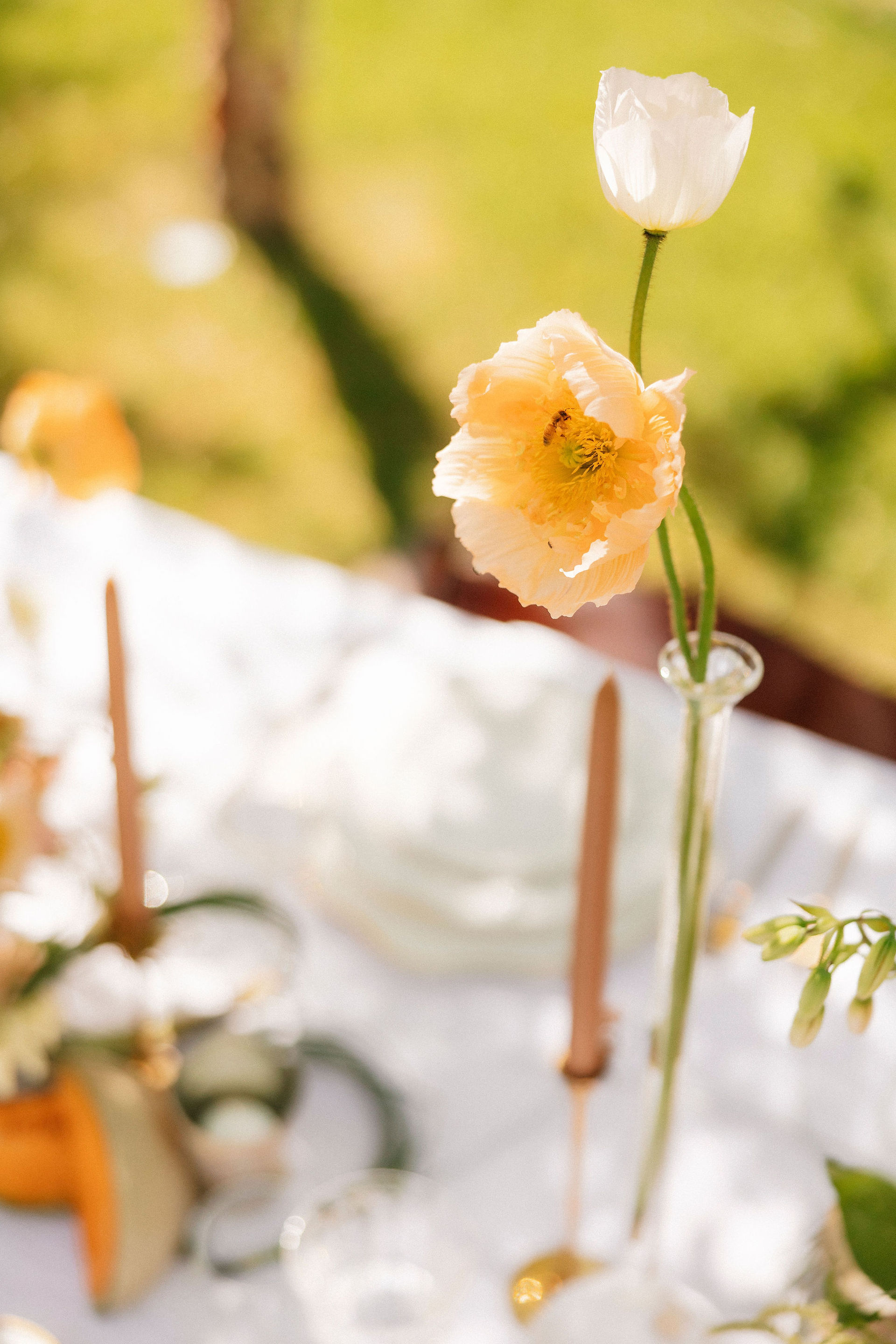 peach bud vases