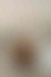 bride and groom lay on dock