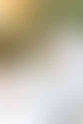 wedding brunch table setting with cake