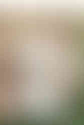 bride walking with bridesmaids in pink dresses and bouquet