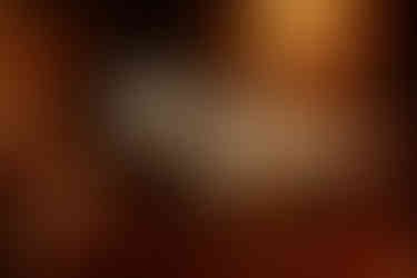 neon sign of couple's last name