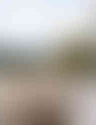 wedding guest table set-up