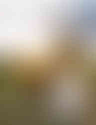 bride and groom with cowboy hats walking at sunset