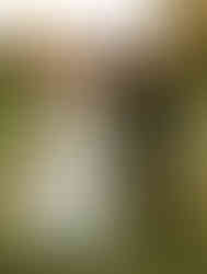 bride and groom in field at sunset