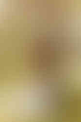 bride and groom sit under a tree