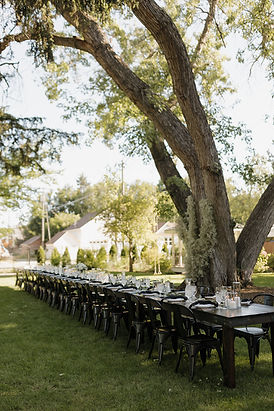 Dietrich Featured-1109_websize.jpg