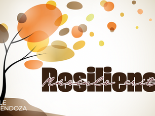 Resiliencia. Más que un concepto, un músculo crítico