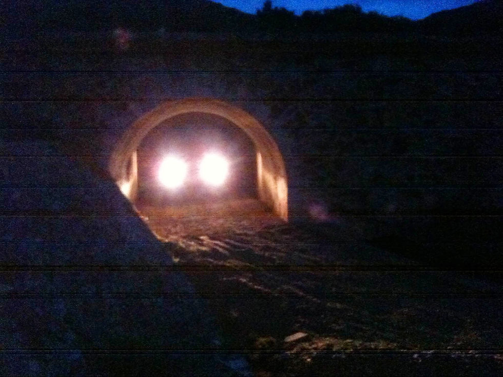 photo1 (1).jpg