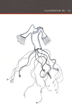 ILLUS-19