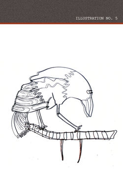 ILLUS-05