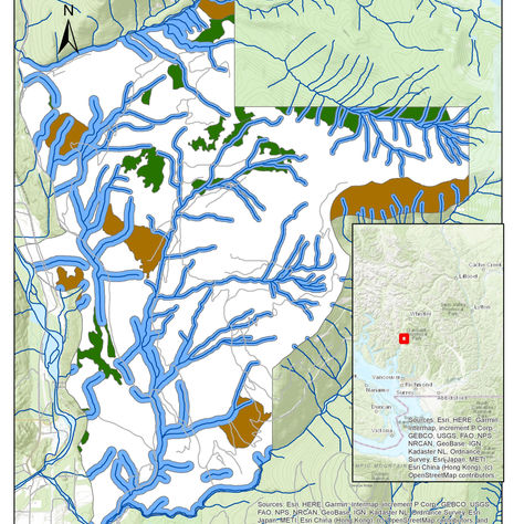 Garibaldi at Squamish- Environmental Impact Assessment