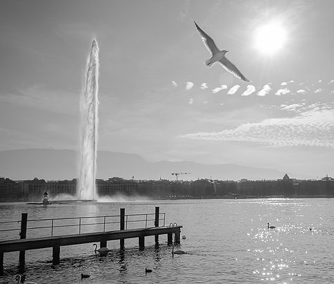 202001 Geneva bains Paquis 4.jpg