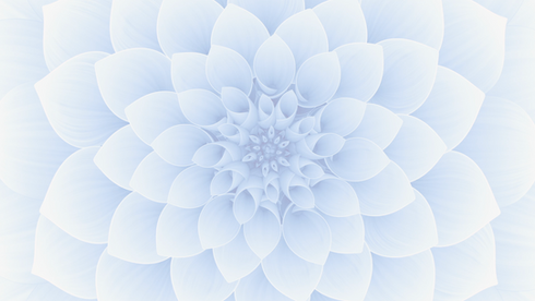 untitled image