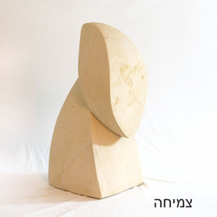צמיחה-1.jpg