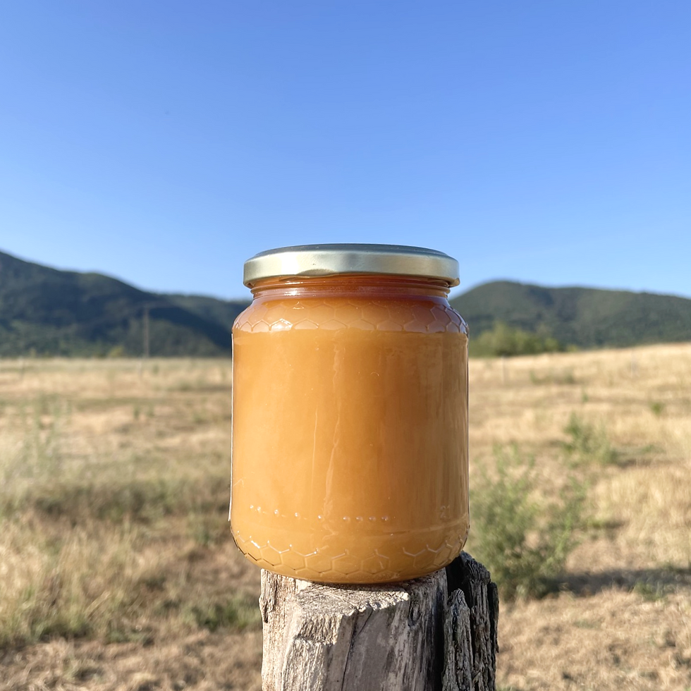 Miniature : Miel de Thym Bio