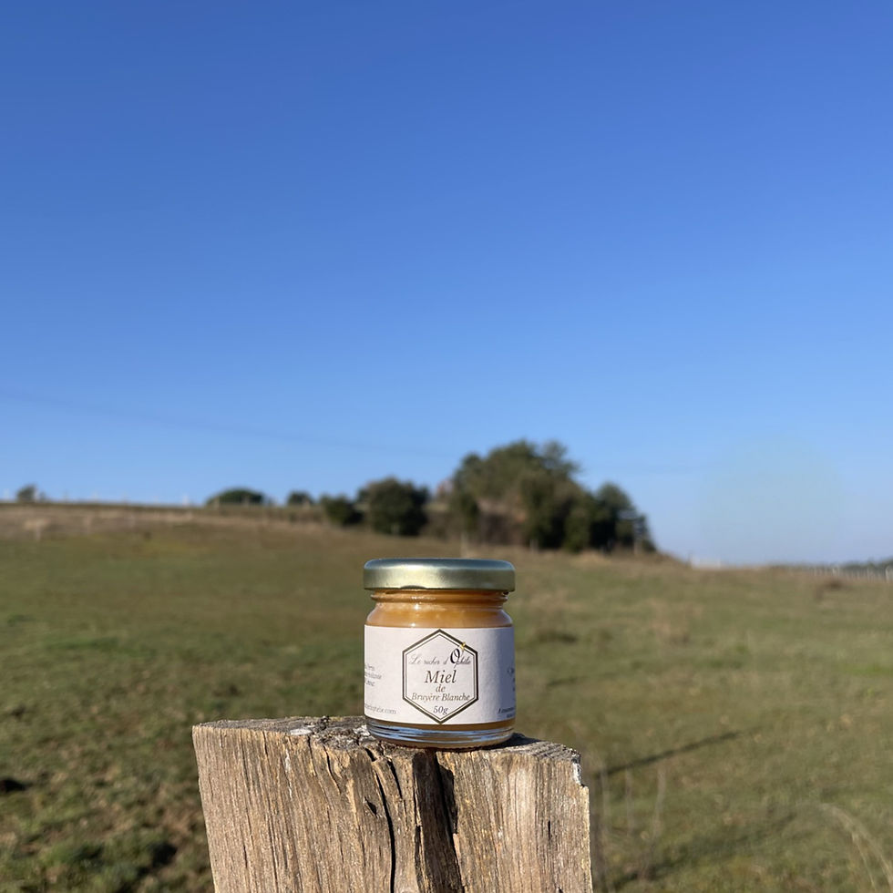 Miniature : Miel de Bruyère Blanche