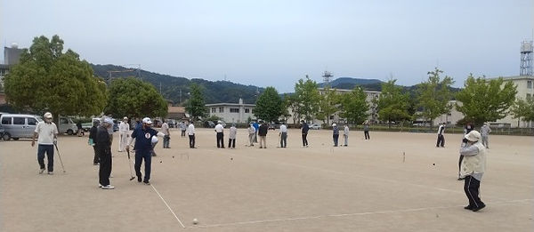 IMG_20220605_084511.jpg