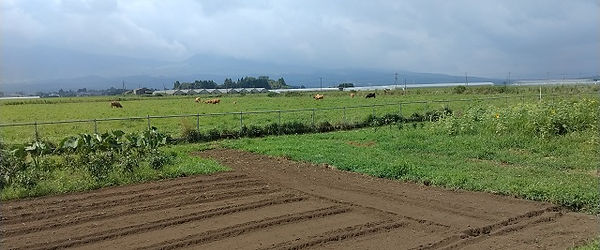 IMG_20220804_100744.jpg