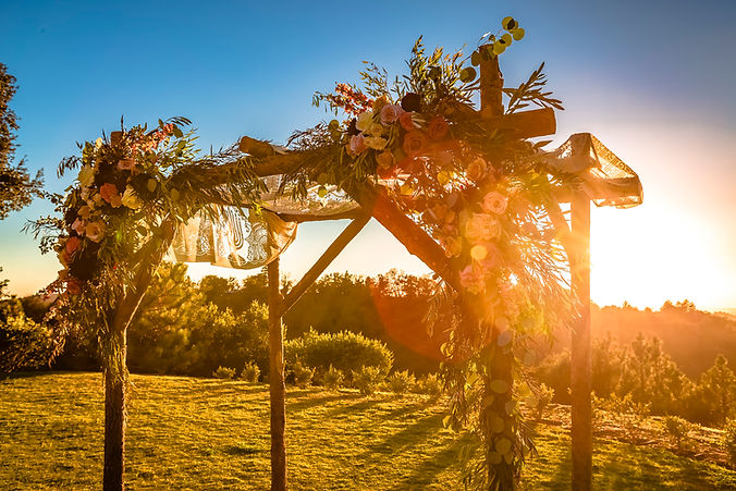 low-angle-view-flower-trees-field-against-clear-sky.jpg