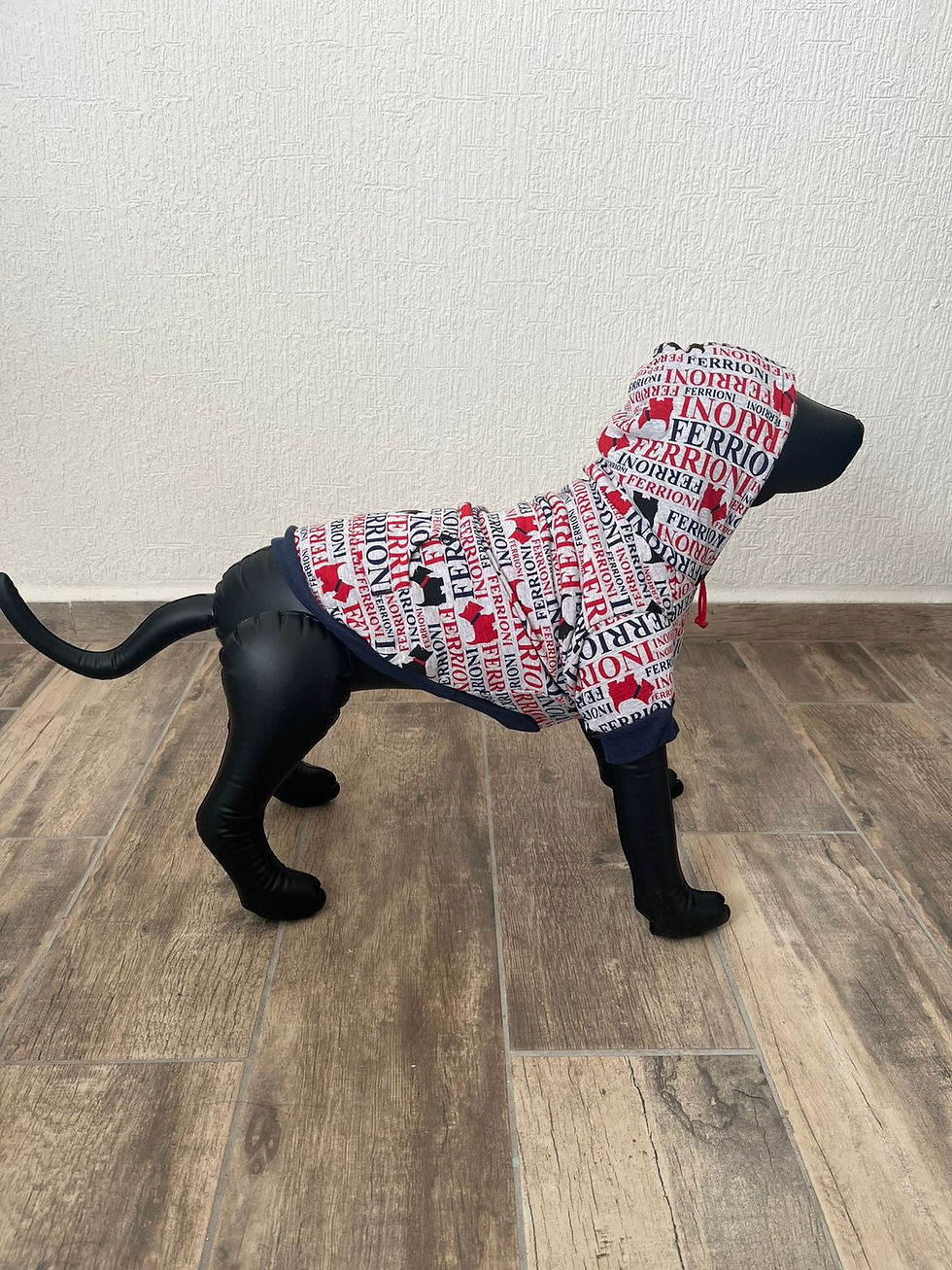 Miniatura: Sudadera con borrega