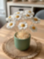Bouquet bohème en pot de plâtre avec fleurs en plâtre et fleurs séchées