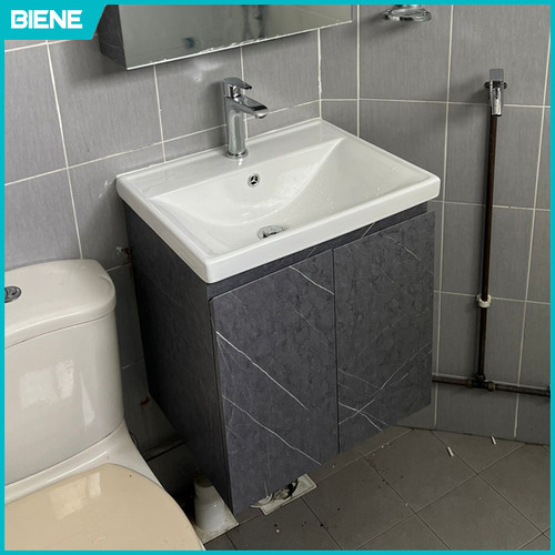 51CG Bathroom vanity set with 2 doors Biene