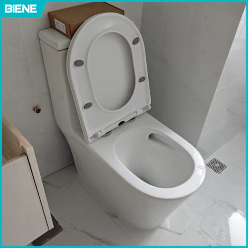 AFFINITY AW8938 One-piece | Tornado | Biene