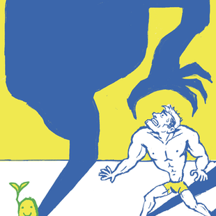 Soy Story: A Much-Maligned Bean, and How We Got Here