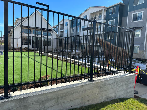 Wrought Iron Fence