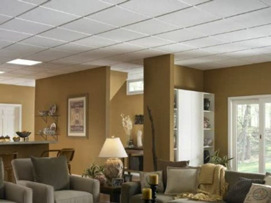 droppped ceiling