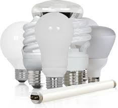 Bulb