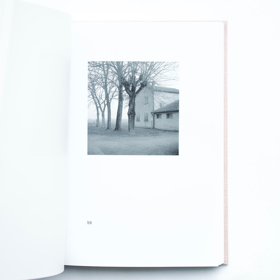 サムネイル： MELONI MELONI by Gerry Johansson [SIGNED]