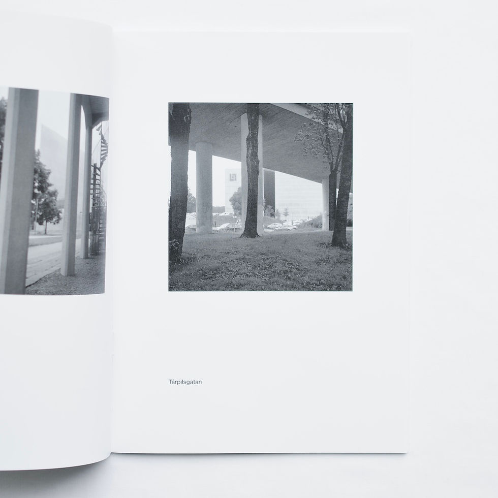 サムネイル： BORÅS by Gerry Johansson [SIGNED]