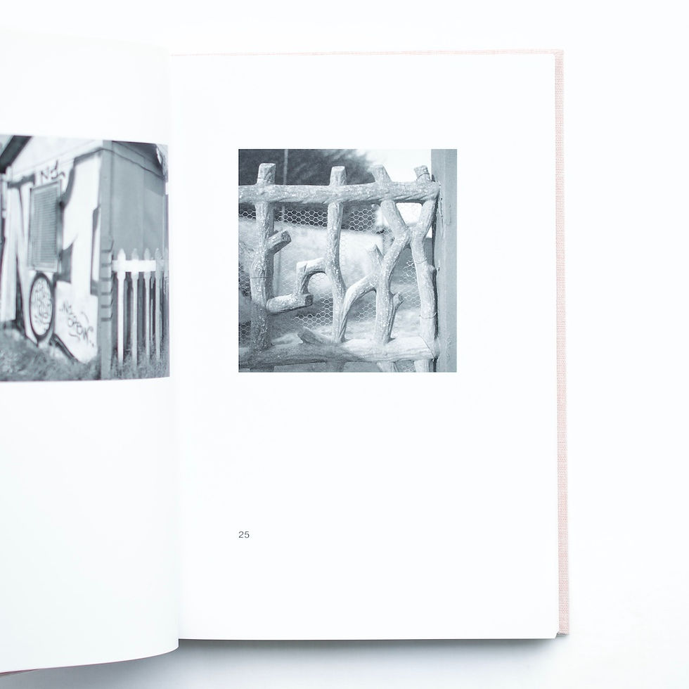 サムネイル： MELONI MELONI by Gerry Johansson [SIGNED]