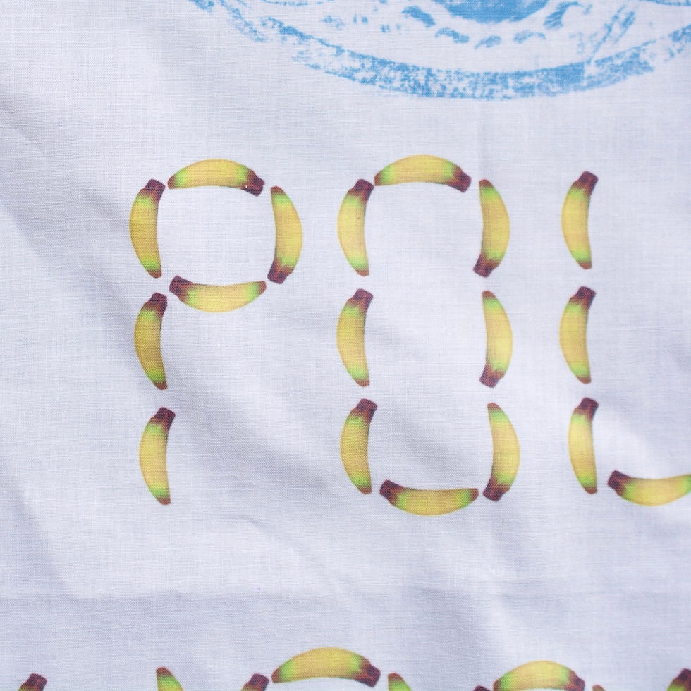 サムネイル： BANANA BANDANA by Roe Ethridge