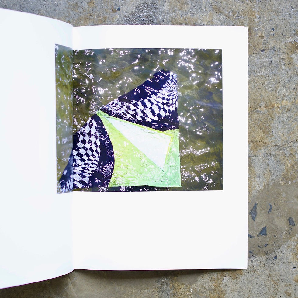 サムネイル： SHELTER ISLAND by Roe Ethridge