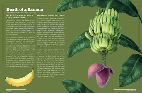 KiesewetterAverie_Beyond the Pot_2.jpg