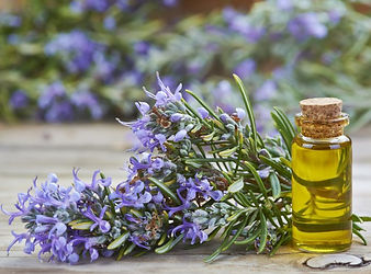 rosemaryoil-1.jpg