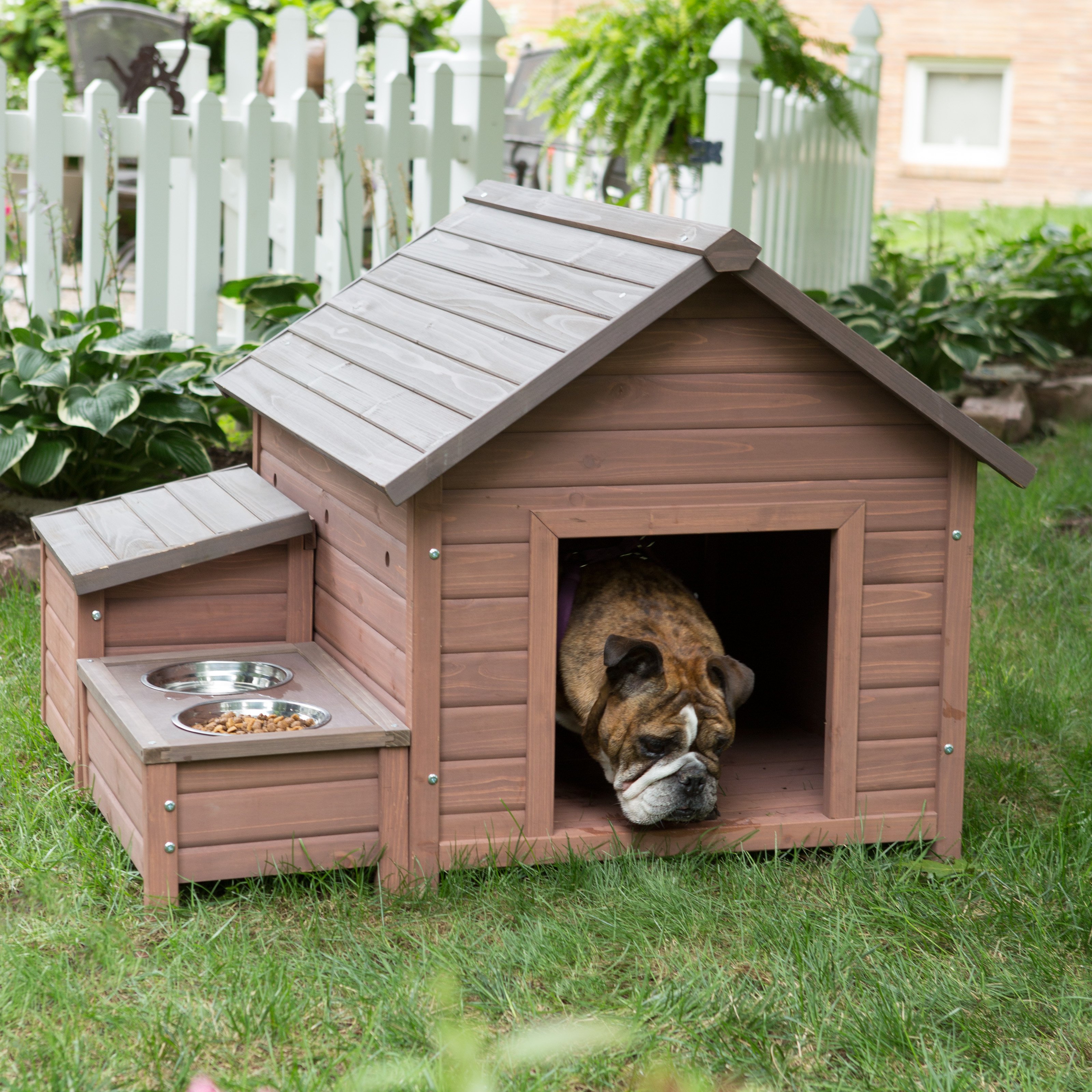big w dog house