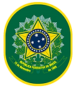 cone escoteiro da patriA_edited.png
